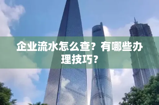 企业流水怎么查？有哪些办理技巧？
