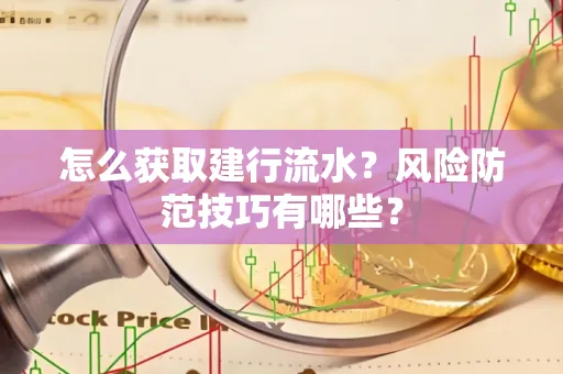 怎么获取建行流水？风险防范技巧有哪些？